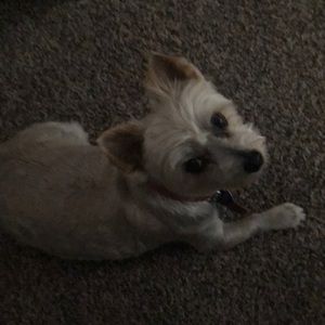 Meet your Posher, Mary